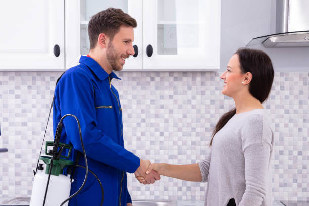 Pest Control Near Me in Dubai: Why Regular Treatment Is Important urbanmop Dubai Pest control work near me